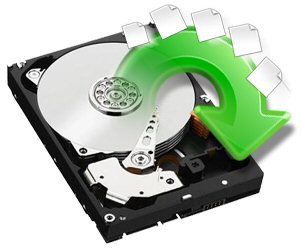Synology Network Attached Storage Array